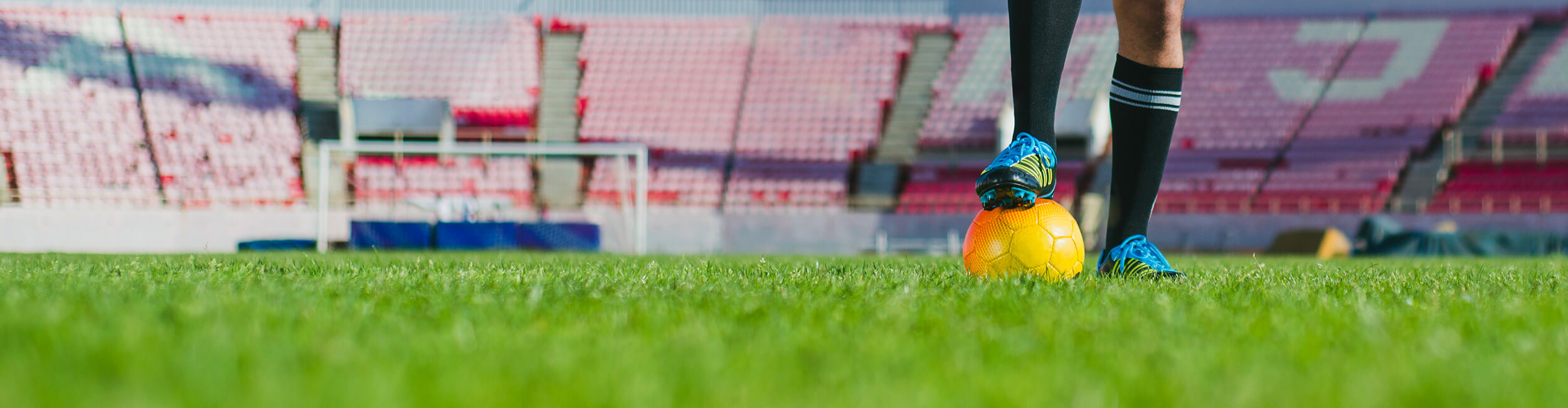 The World is Much Greener with Avengrass